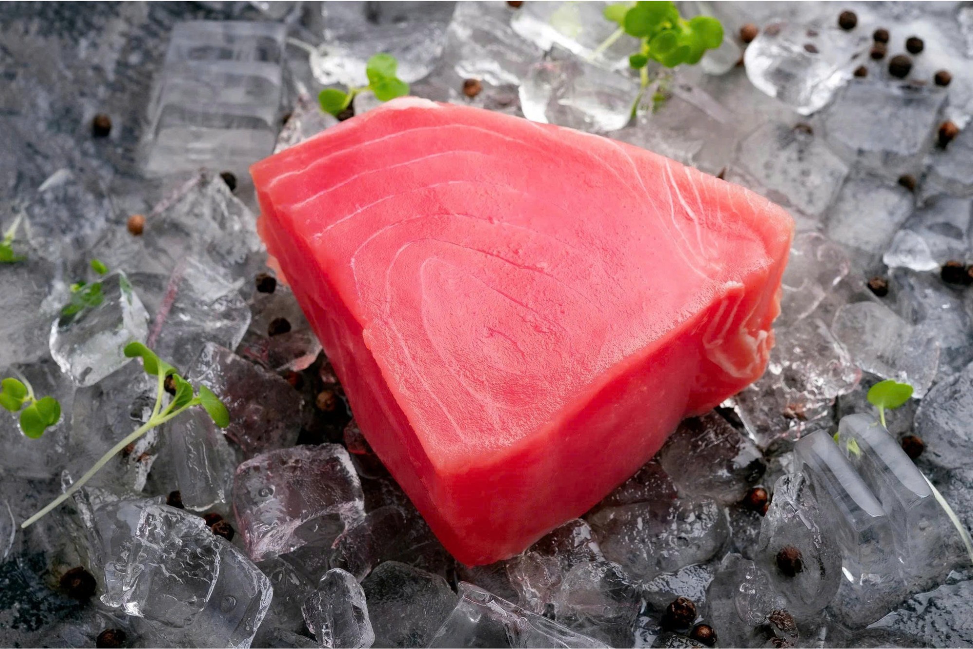 Tuna Steak