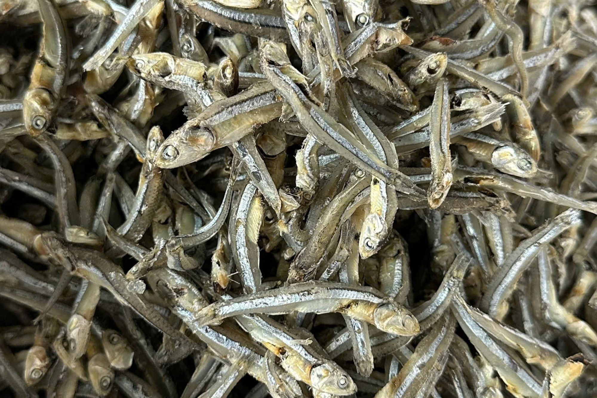 DRIED BOILED ANCHOVY